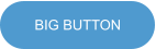 BIG BUTTON