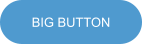 BIG BUTTON